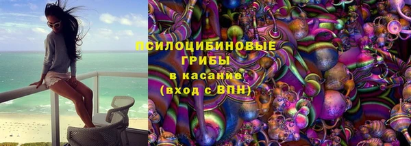 ПСИЛОЦИБИНОВЫЕ ГРИБЫ Липки