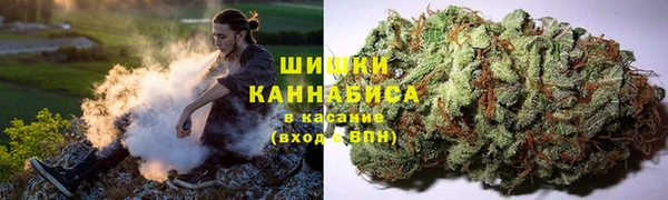 ПСИЛОЦИБИНОВЫЕ ГРИБЫ Липки