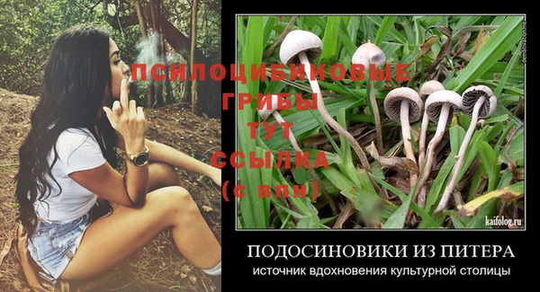 ПСИЛОЦИБИНОВЫЕ ГРИБЫ Липки