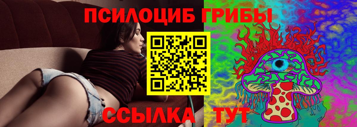 Псилоцибиновые грибы ЛСД  купить   Каменск-Уральский  Галлюциногенные грибы Cubensis  Вход с VPN 